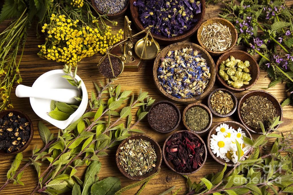 Indian Herbs list